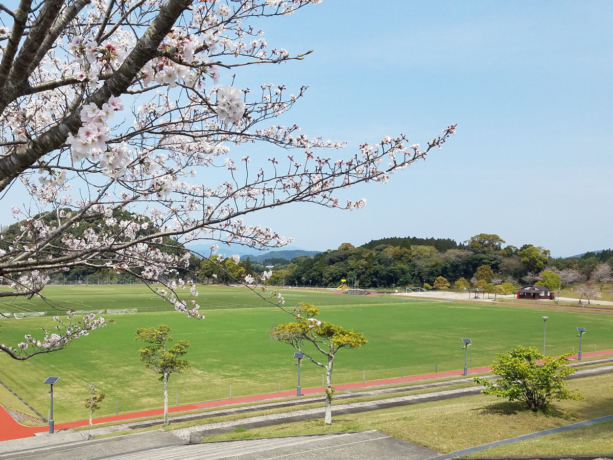 試合会場 市比野温泉杯サッカー大会オフィシャルサイト(鹿児島県薩摩川内市)